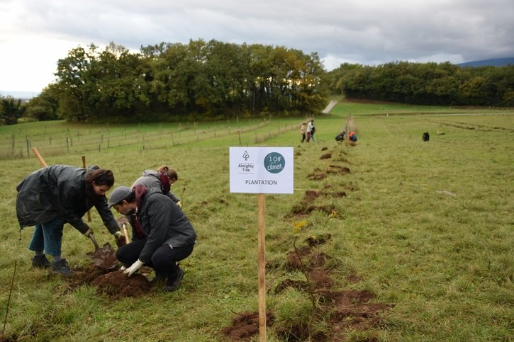 Sponsoriser la plantation d’arbres