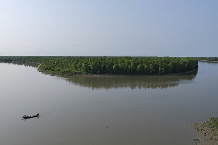 C'est l'immense forêt de mangroves des Sundarbans, à cheval sur le Bangladesh et l'Inde, où les fleuves Gange, Brahmapoutre et Meghna se jettent dans la mer, qui a été la plus touchée par le cyclone. (image d'archive) © KEYSTONE/AP/MAHMUD HOSSAIN OPU
